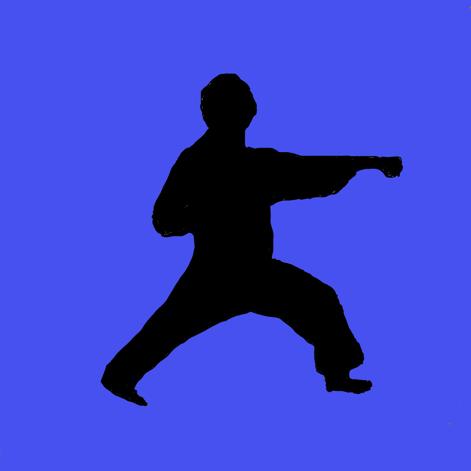 Karate punch